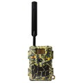 Wachman Rio 4G
